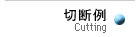 cutting(自動切断機の切断例)